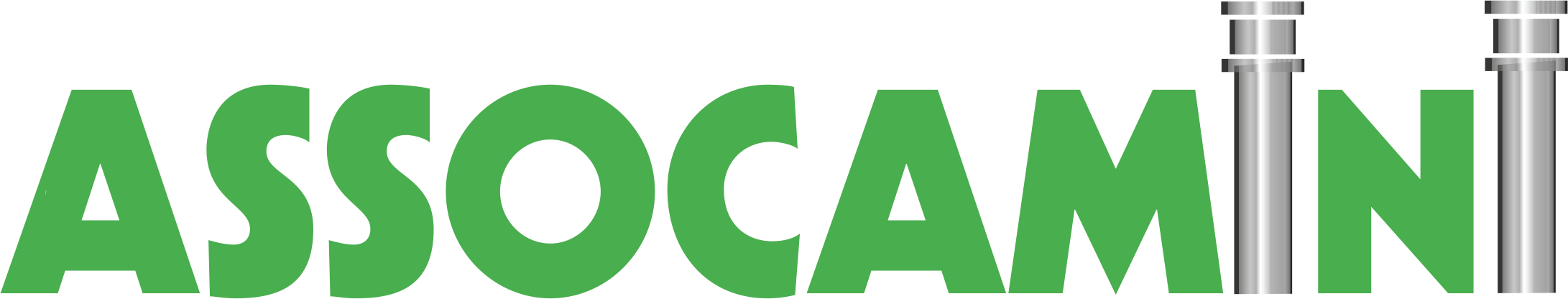 Logo Assocamini